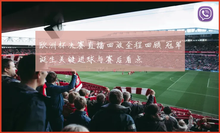 欧洲杯决赛直播回放全程回顾 冠军诞生关键进球与赛后看点