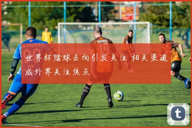 世界杯赌球去向引发关注 相关渠道成外界关注焦点
