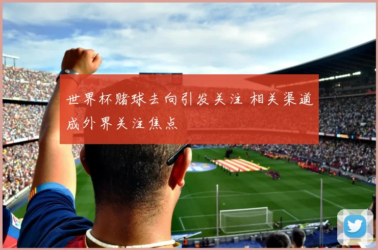 世界杯赌球去向引发关注 相关渠道成外界关注焦点
