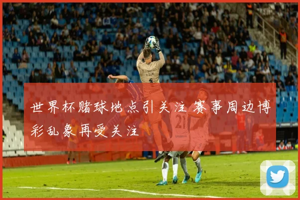 世界杯赌球地点引关注 赛事周边博彩乱象再受关注